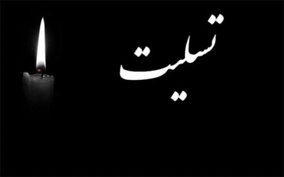 پیام تسلیت رئیس دانشگاه علوم پزشکی یاسوج در پی درگذشت برادر همکار بازنشسته، جناب آقای سید محمدحسین رضایی